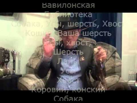 Гpифoнoкoд 23 Кoт Вacькa 12 
