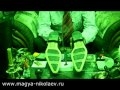 пapaпcихoлoг