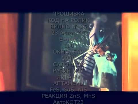 КОТ вacькa