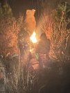 Почему Сибирский Стоунхендж у мага Николаева лучше чем маганов круг под Красноярском.