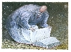 Психокодирование: супер способности КОД ВАСЬКА и ГрифоноКОД