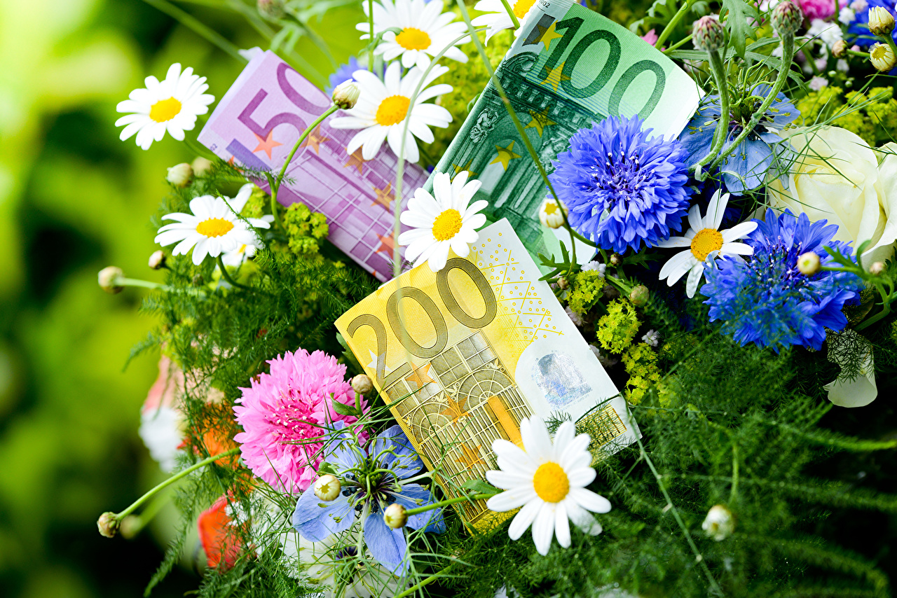 Привлечение денег на цветок