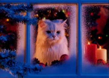 Новый год 2013г.