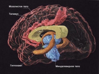 психокодирование