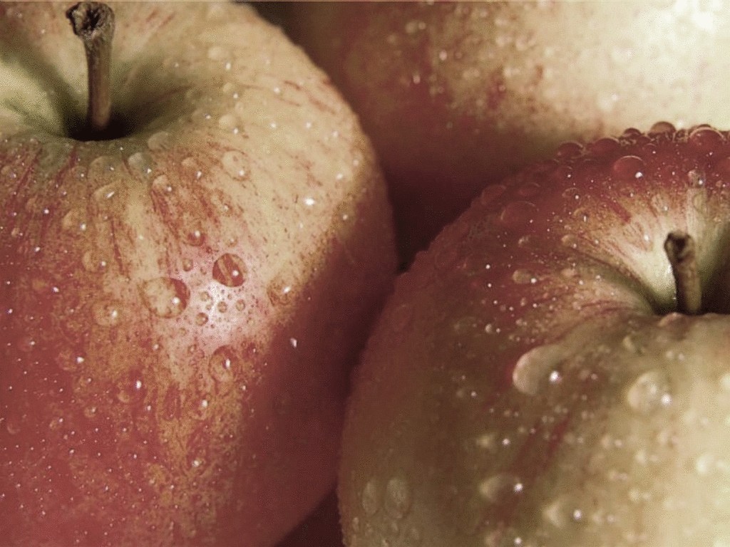 Сонник: к чему снится яблоня и яблоки