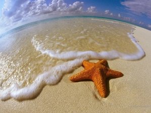 Гадание у воды
